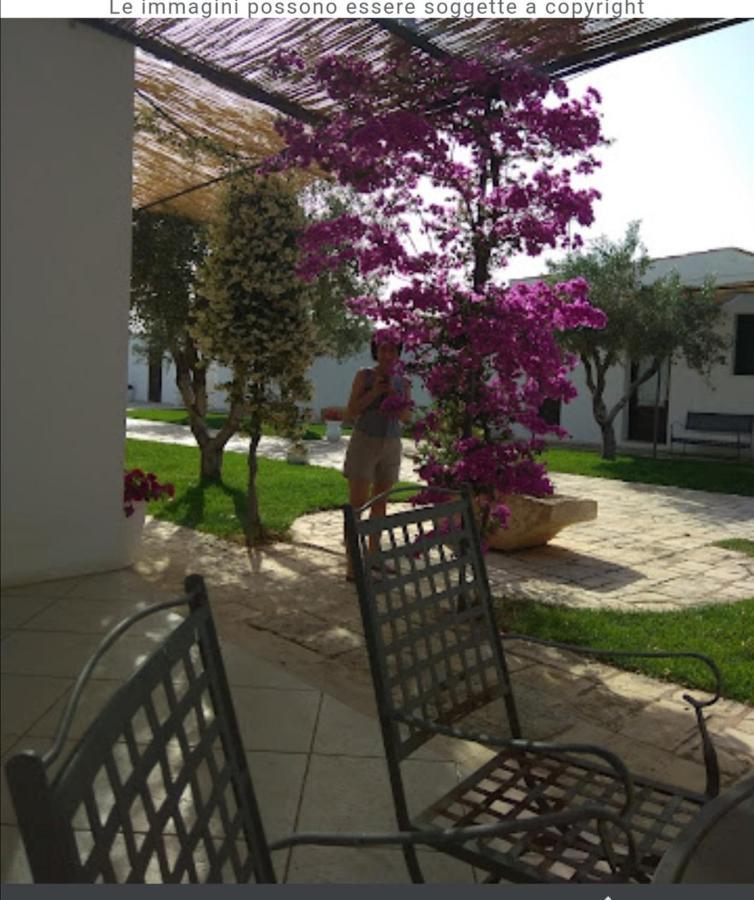 Room In Bb - Stunning Quadruple Room In Ancient Masseria Near The Sea In A Quiet Olive Trees Ostuni Exterior photo