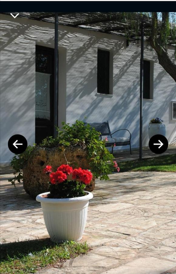 Room In Bb - Stunning Quadruple Room In Ancient Masseria Near The Sea In A Quiet Olive Trees Ostuni Exterior photo