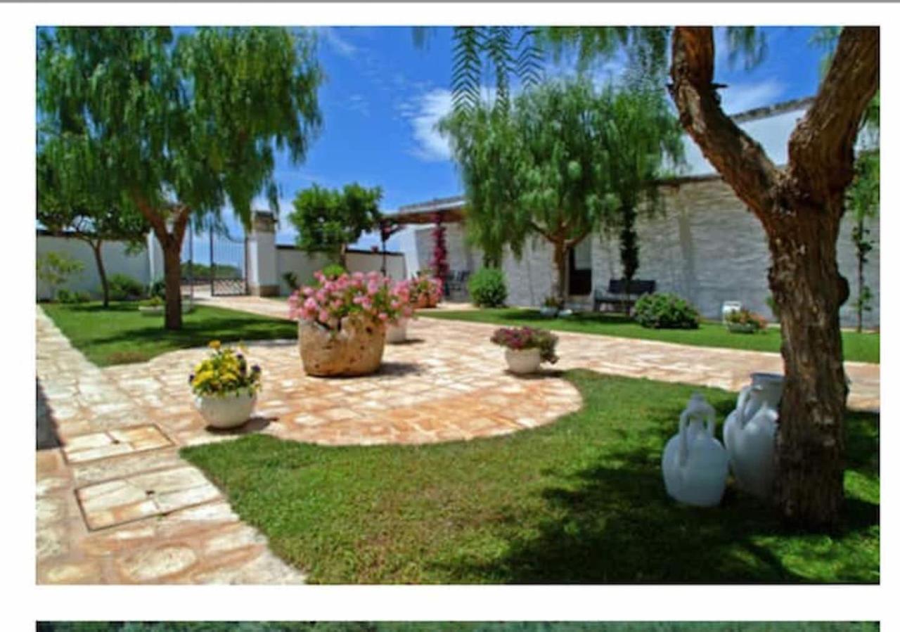 Room In Bb - Stunning Quadruple Room In Ancient Masseria Near The Sea In A Quiet Olive Trees Ostuni Exterior photo